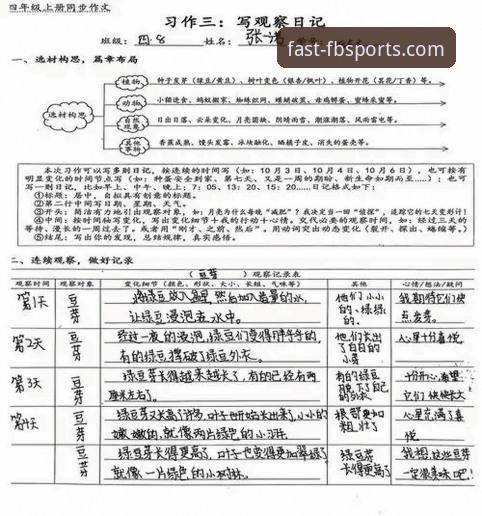 从新手到熟练：我的FB体育官网使用指南与实战心得